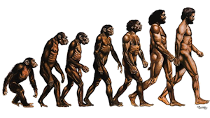 Natural selection essay